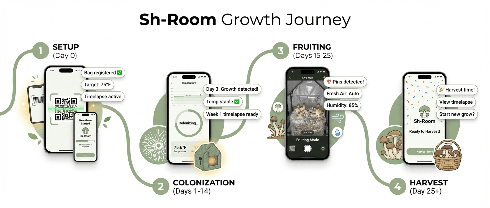 Sh-Room growth journey: Setup, Colonization (Days 1-14), Fruiting (Days 15-25), Harvest
